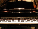 Dueto de flauta y piano - Música para Coctel y cena de matrimonio